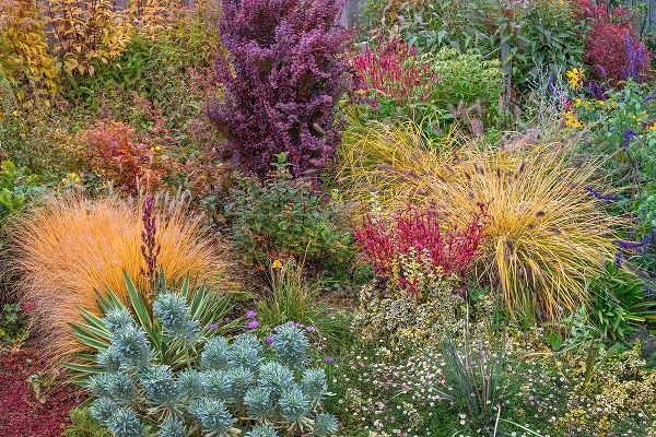 Washington State-Lemolo Garden in autumn